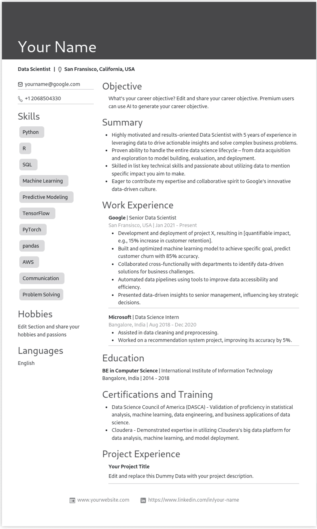 Resume Template Preview