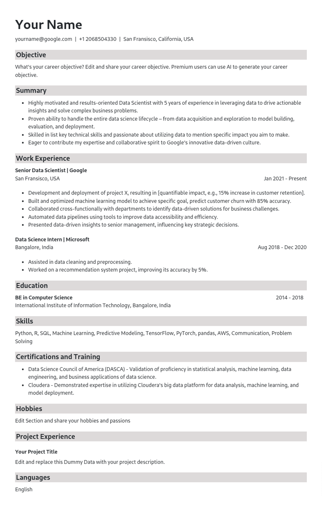 Resume Template Preview