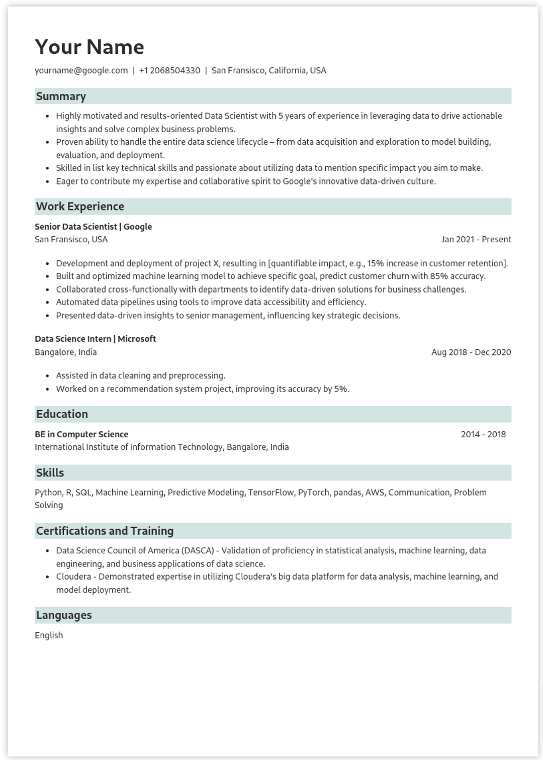 Resume Template Preview