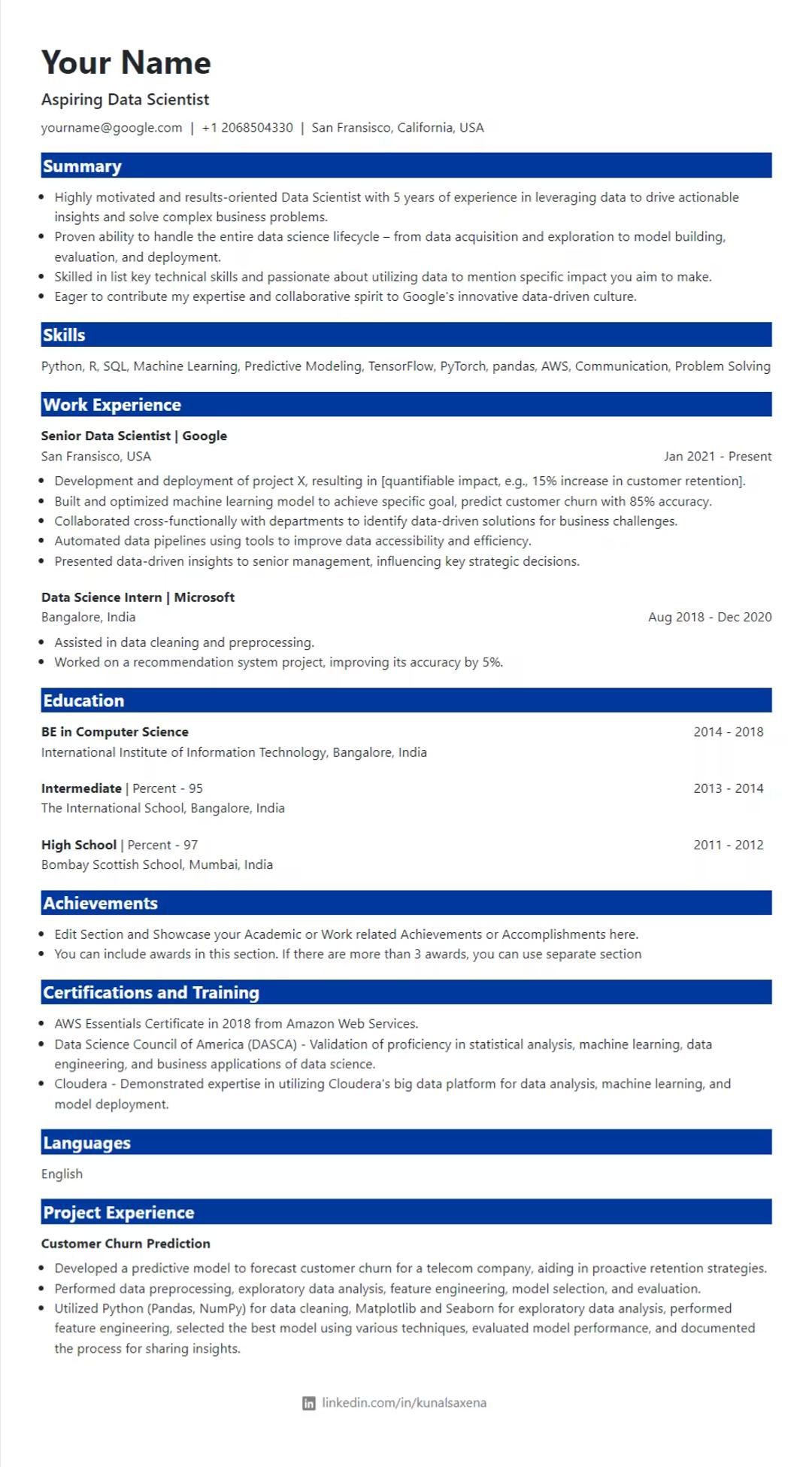 Resume Template Preview