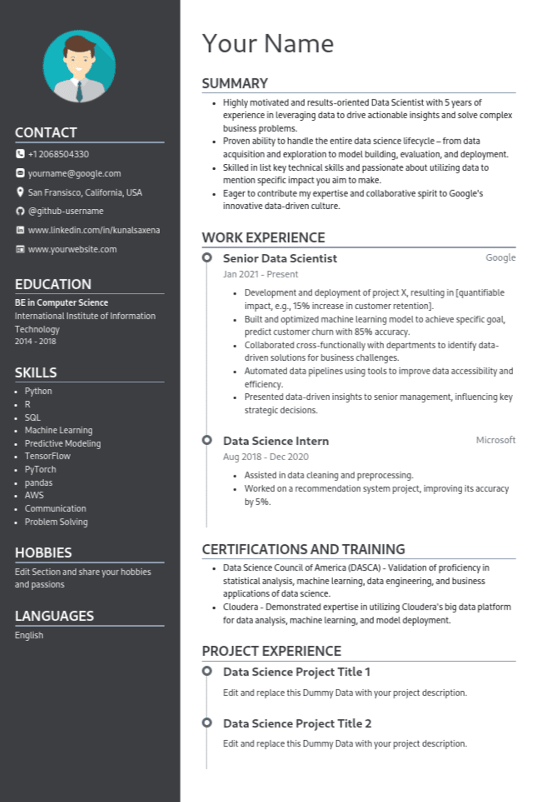 Resume Template Preview