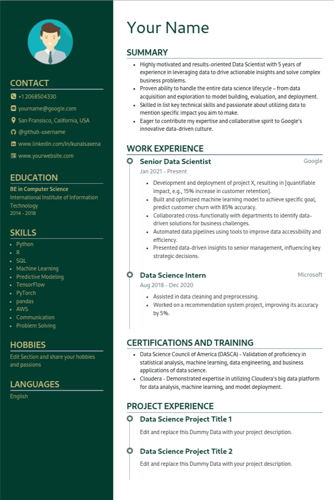 Resume Template Preview