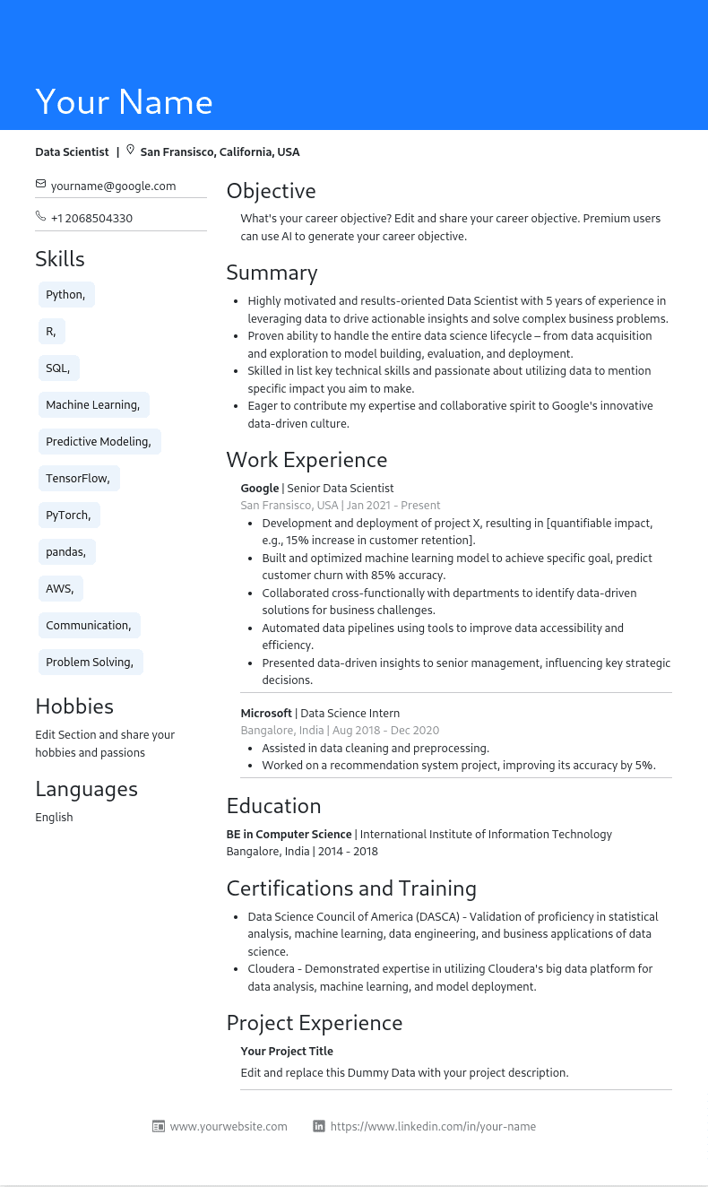 Resume Template Preview