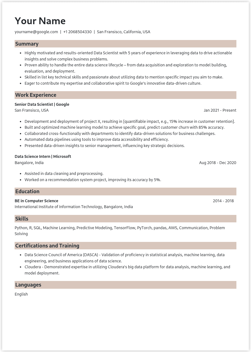 Resume Template Preview